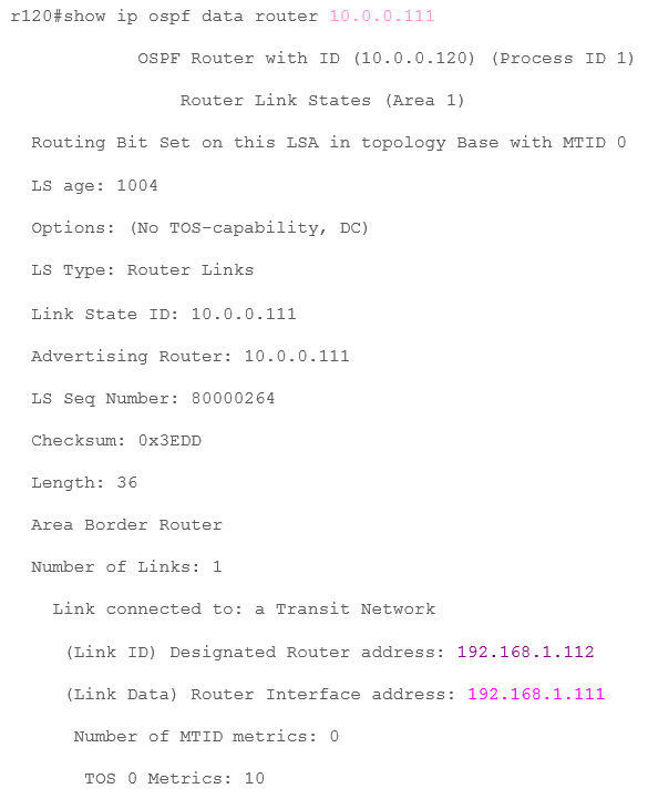 r111_router_lsa