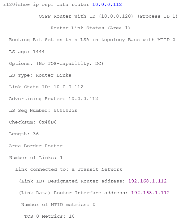 r112_router_lsa